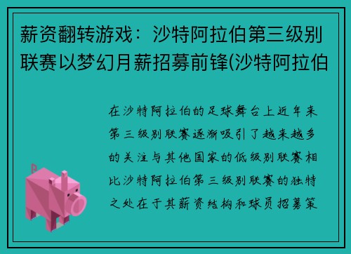 薪资翻转游戏：沙特阿拉伯第三级别联赛以梦幻月薪招募前锋(沙特阿拉伯土豪)